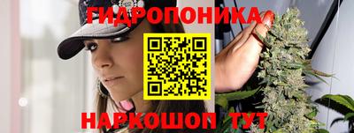 стафф Северобайкальск