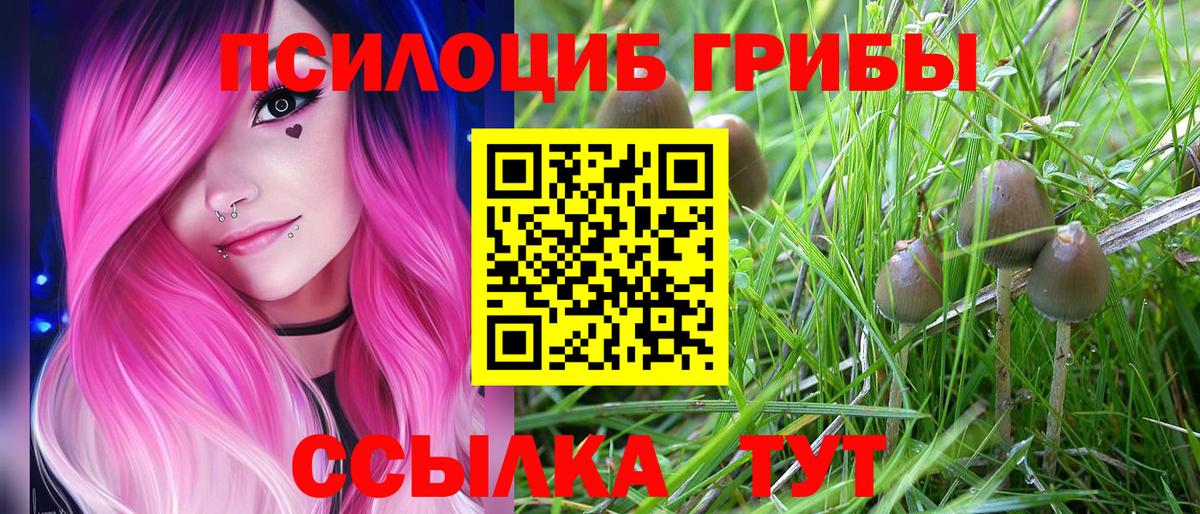 Галлюциногенные грибы Cubensis  Вход с VPN  Орехово-Зуево  Галлюциногенные грибы MAGIC MUSHROOMS 